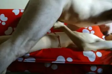 ABG Bispak Hotel Mewah Skandal 2026